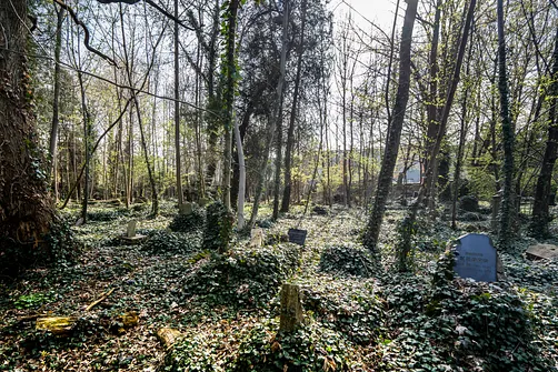 Bielsko-Biała – miasto u podnóża Beskidów