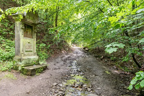 Wędrówka na Kalwarię do kaplicy Matki Bożej Płaczącej. Obryw Skalny i panorama Barda.