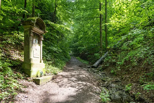 Wędrówka na Kalwarię do kaplicy Matki Bożej Płaczącej. Obryw Skalny i panorama Barda.