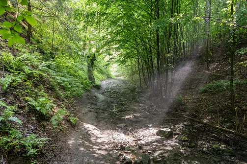 Wędrówka na Kalwarię do kaplicy Matki Bożej Płaczącej. Obryw Skalny i panorama Barda.