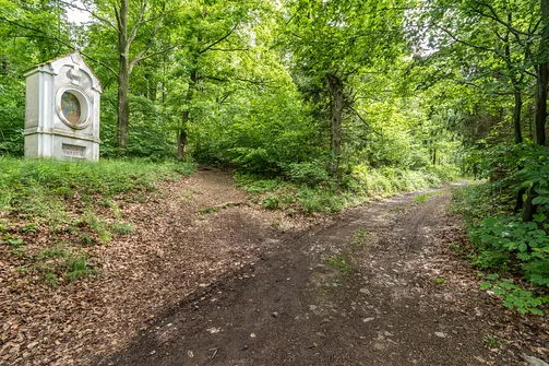 Wędrówka na Kalwarię do kaplicy Matki Bożej Płaczącej. Obryw Skalny i panorama Barda.
