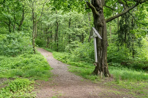 Wędrówka na Kalwarię do kaplicy Matki Bożej Płaczącej. Obryw Skalny i panorama Barda.
