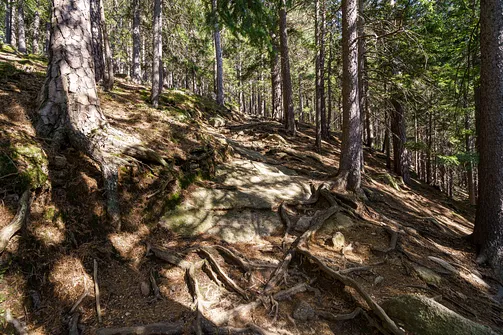 Szlak na szczyt Karpatki