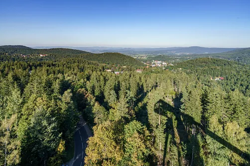 Widok ze skoczni Orlinek w Karpaczu