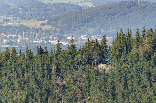 Skocznia Orlinek - widok na szczyt Karpatki