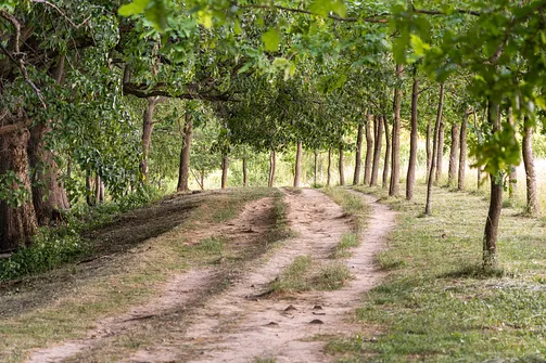 Sanktuarium i Bazylika Znalezienia Krzyża Świętego w Kalwarii Pacławskiej