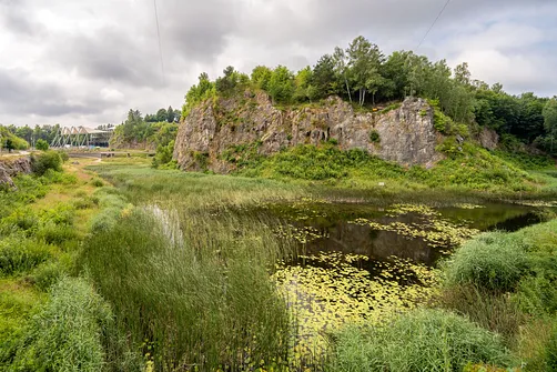 Rezerwat przyrody Kadzielnia w Kielcach