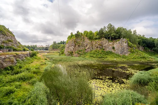 Rezerwat przyrody Kadzielnia w Kielcach