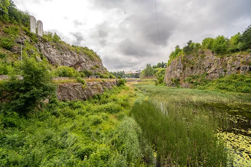 Rezerwat przyrody Kadzielnia w Kielcach
