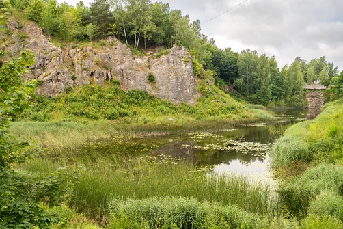 Rezerwat przyrody Kadzielnia w Kielcach