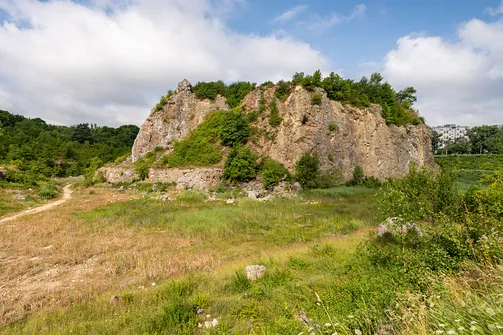 Rezerwat przyrody Kadzielnia w Kielcach