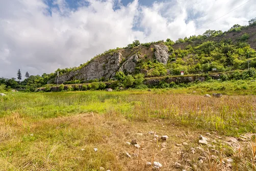 Rezerwat przyrody Kadzielnia w Kielcach