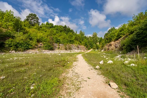 Rezerwat przyrody Kadzielnia w Kielcach