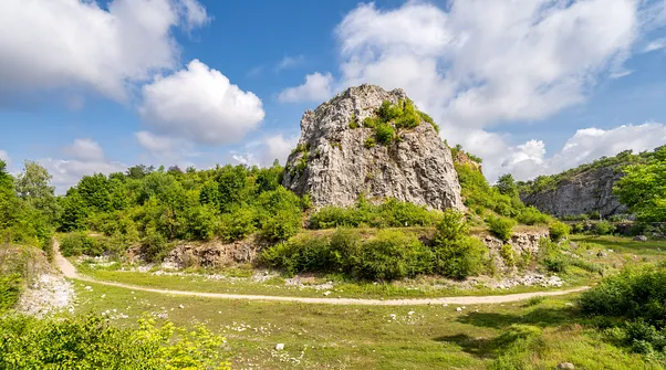 Rezerwat przyrody Kadzielnia w Kielcach