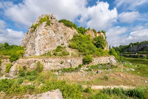 Rezerwat przyrody Kadzielnia w Kielcach