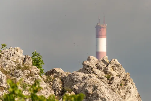 Rezerwat przyrody Kadzielnia w Kielcach