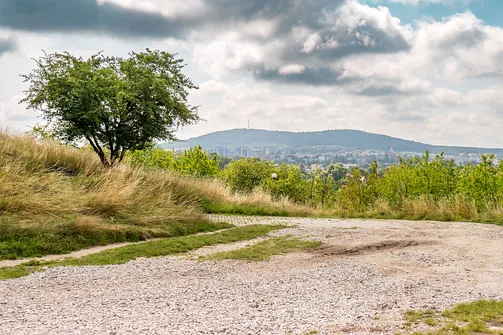 Widok z Wzgórza Harcerskiego w Kielcach na Telegraf i Hałasę