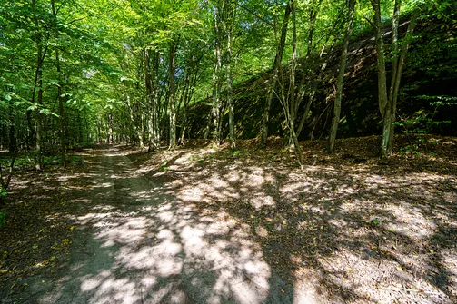 Bunkier w Konewce - schron kolejowy Hitlera