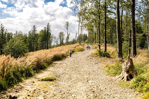 Wielka i Mała Czantoria - pętla z Ustronia Polany