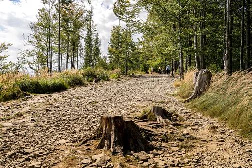 Wielka i Mała Czantoria - pętla z Ustronia Polany