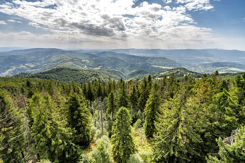 Wielka i Mała Czantoria - pętla z Ustronia Polany