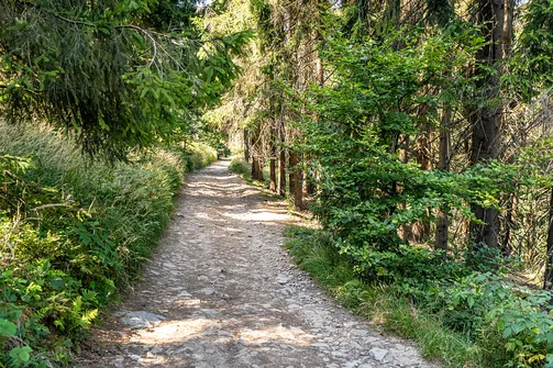Wielka i Mała Czantoria - pętla z Ustronia Polany