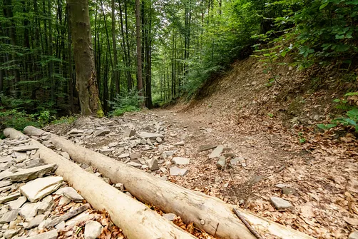 Równica w Beskidzie Śląskim - trasa z Ustronia