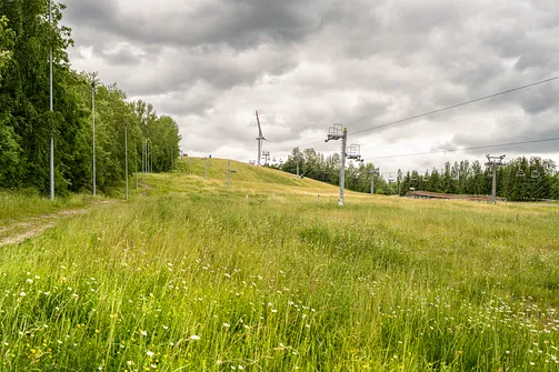 Góra Kamieńska - najwyższe wzniesienie województwa łódzkiego