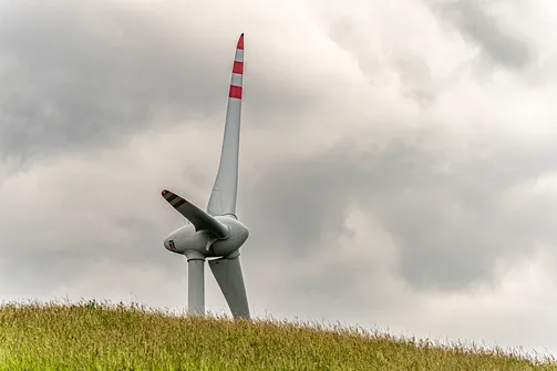 Góra Kamieńska - najwyższe wzniesienie województwa łódzkiego