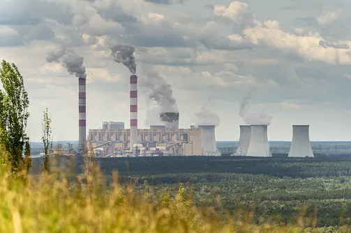 Góra Kamieńska - najwyższe wzniesienie województwa łódzkiego