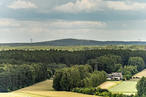 Góra Kamieńska - najwyższe wzniesienie województwa łódzkiego