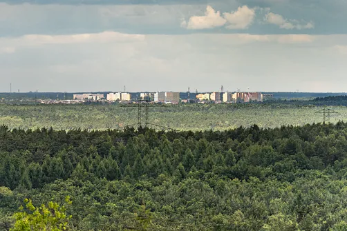 Góra Kamieńska - najwyższe wzniesienie województwa łódzkiego