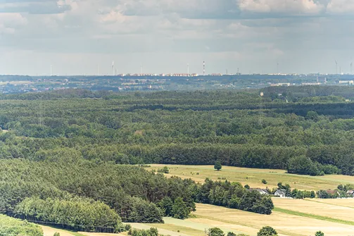 Góra Kamieńska - najwyższe wzniesienie województwa łódzkiego
