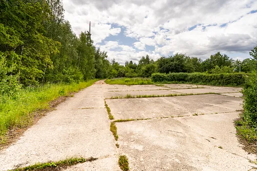 Góra Kamieńska - najwyższe wzniesienie województwa łódzkiego