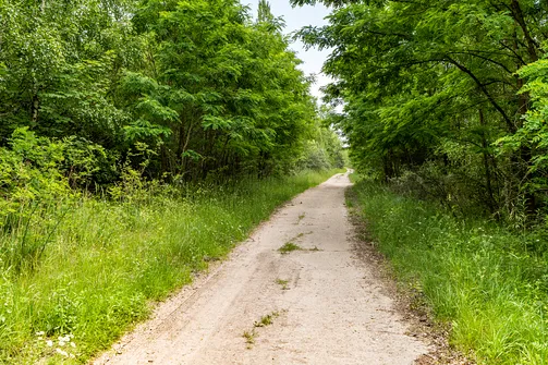Góra Kamieńska - najwyższe wzniesienie województwa łódzkiego