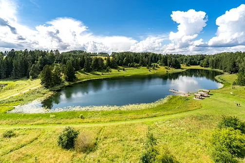 Widok na jezioro Dobellus Duży z wieży widokowej w Stańczykach