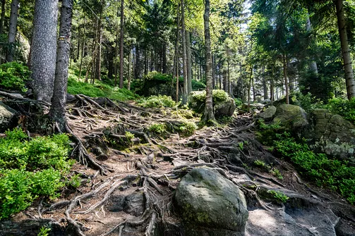 Błędne Skały i Szczeliniec Wielki w jeden dzień - trasa z Karłowa