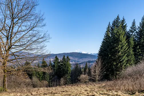 Szeroka panorama Beskidu Żywieckiego z widocznym na horyzoncie ośnieżonym masywem górskim.