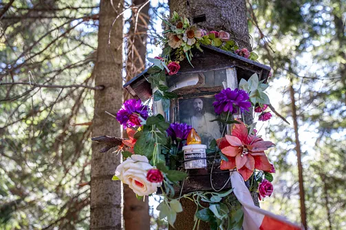 Mała kapliczka nadrzewna z wizerunkiem Jezusa Chrystusa, udekorowana sztucznymi kwiatami.