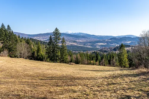 Szeroka panorama Beskidów z polany grzbietowej z widocznym na horyzoncie masywem Babiej Góry.
