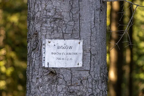 Tabliczka informacyjna na pniu drzewa oznaczająca wierzchołek Czeretnika w Paśmie Pewelskim.