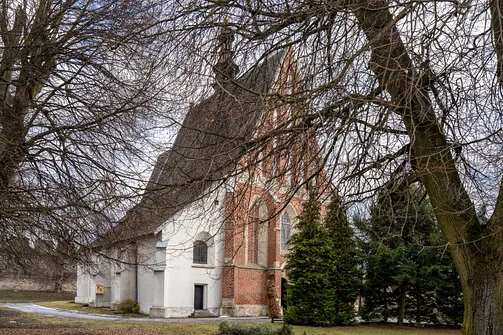 Północno-zachodni narożnik kościoła św. Władysława w Szydłowie widoczny spoza drzew.