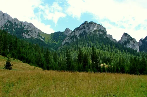 Dolina Kościeliska. Widok na okoliczne góry z Polany Pisanej