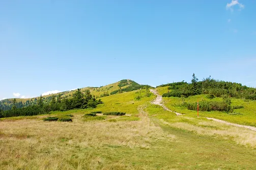 Babia Góra. Przełęcz Brona z widokiem na Małą Babią Górę