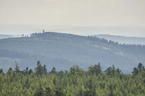 Jagodna. Wieża widokowa na Czerńcu w Górach Bystrzyckich widziana z Jagodnej