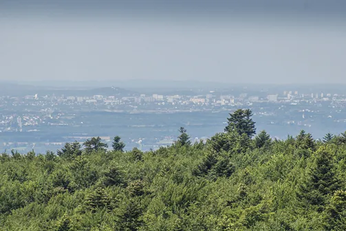 Łysa Góra, klasztor na Świętym Krzyżu. Widok z Łysej Góry na Kielce. Na wzgórzu Klasztor na Karczówce (odległość w linii prostej 32 km).